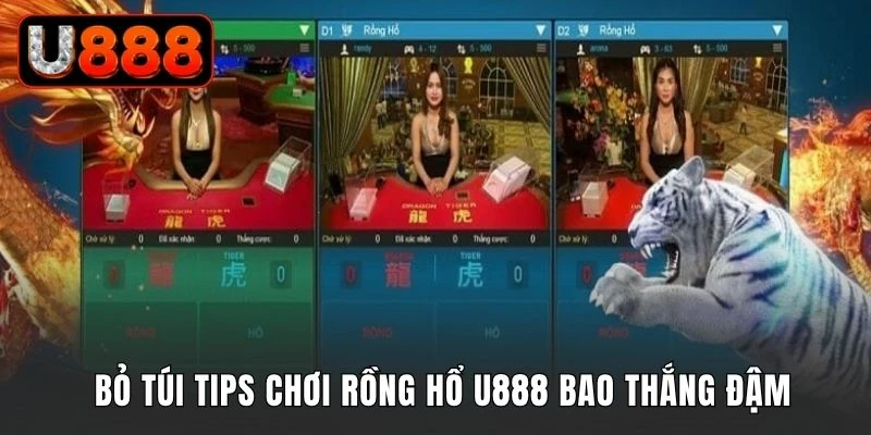 Bỏ túi tips chơi Rồng Hổ U888 bao thắng đậm
