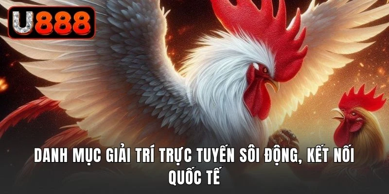 Danh mục giải trí trực tuyến sôi động, kết nối quốc tế