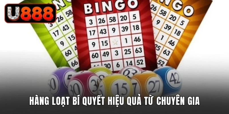 Hàng loạt bí quyết hiệu quả từ chuyên gia
