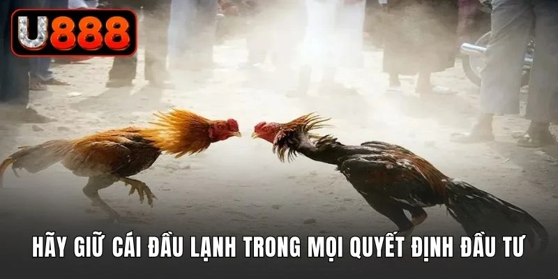 Hãy giữ cái đầu lạnh trong mọi quyết định đầu tư