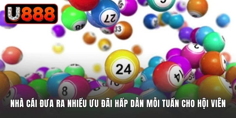Nhà cái đưa ra nhiều ưu đãi hấp dẫn mỗi tuần cho hội viên