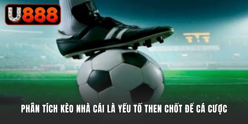 Phân tích kèo nhà cái là yếu tố then chốt để cá cược hiệu quả
