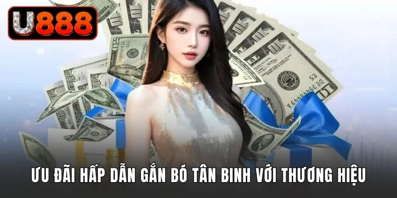 Ưu đãi hấp dẫn gắn bó tân binh với thương hiệu